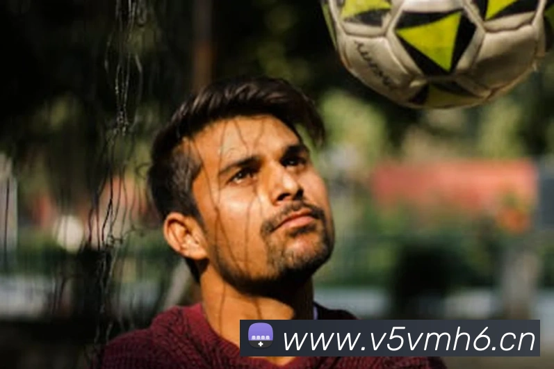 多媒体互动体验